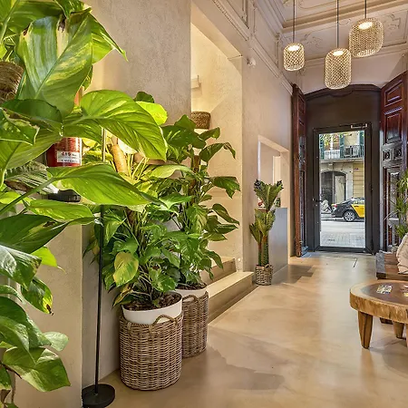 Limonaia 3* Barcelona