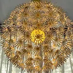 Limonaia 3*